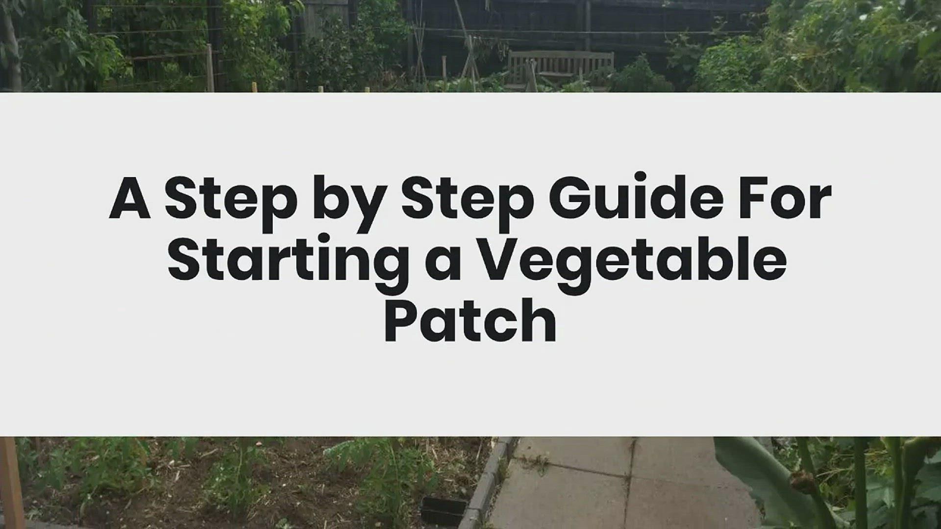'Video thumbnail for Starting_A_Vegetable_Garden'