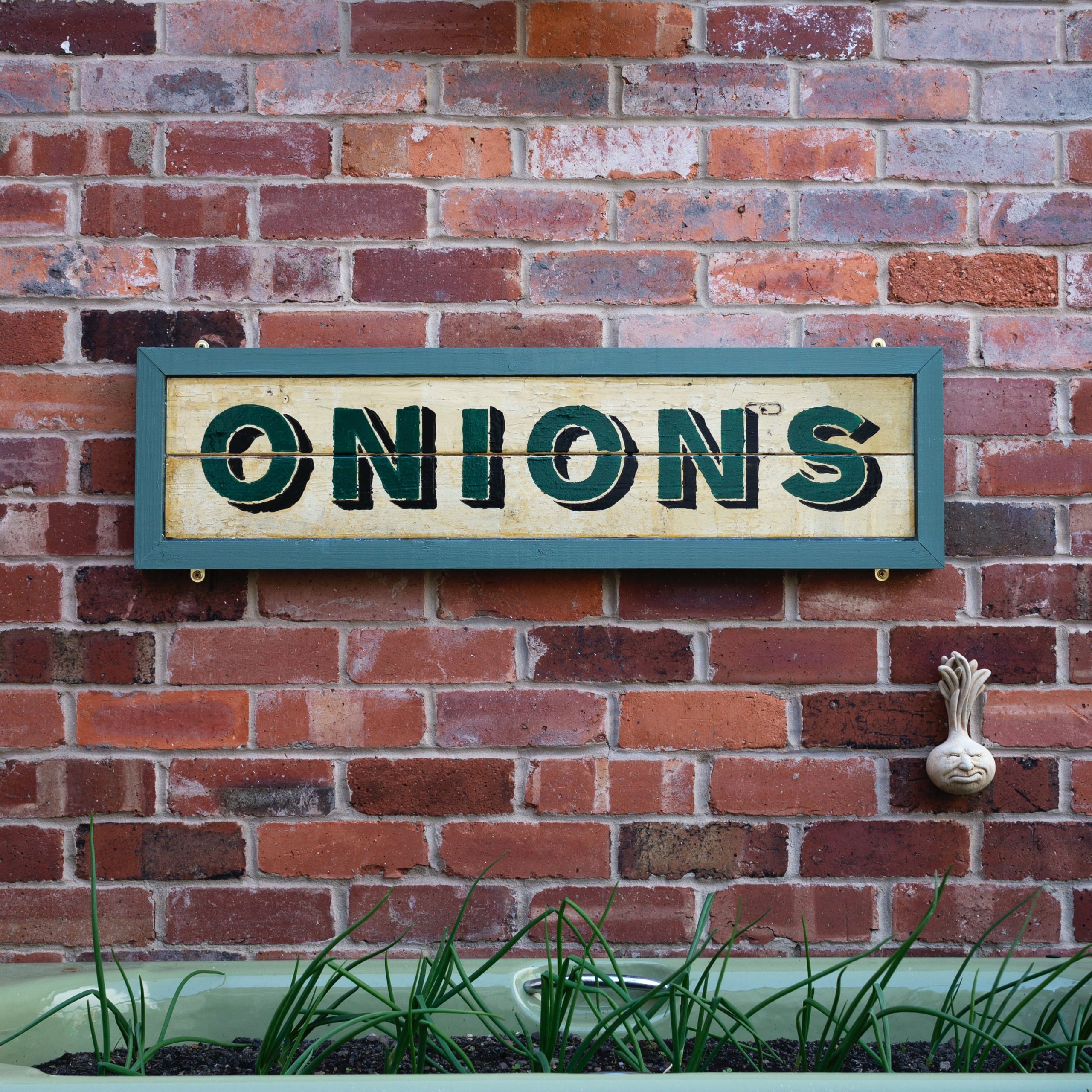 How Many Varieties Of Onions Are There?