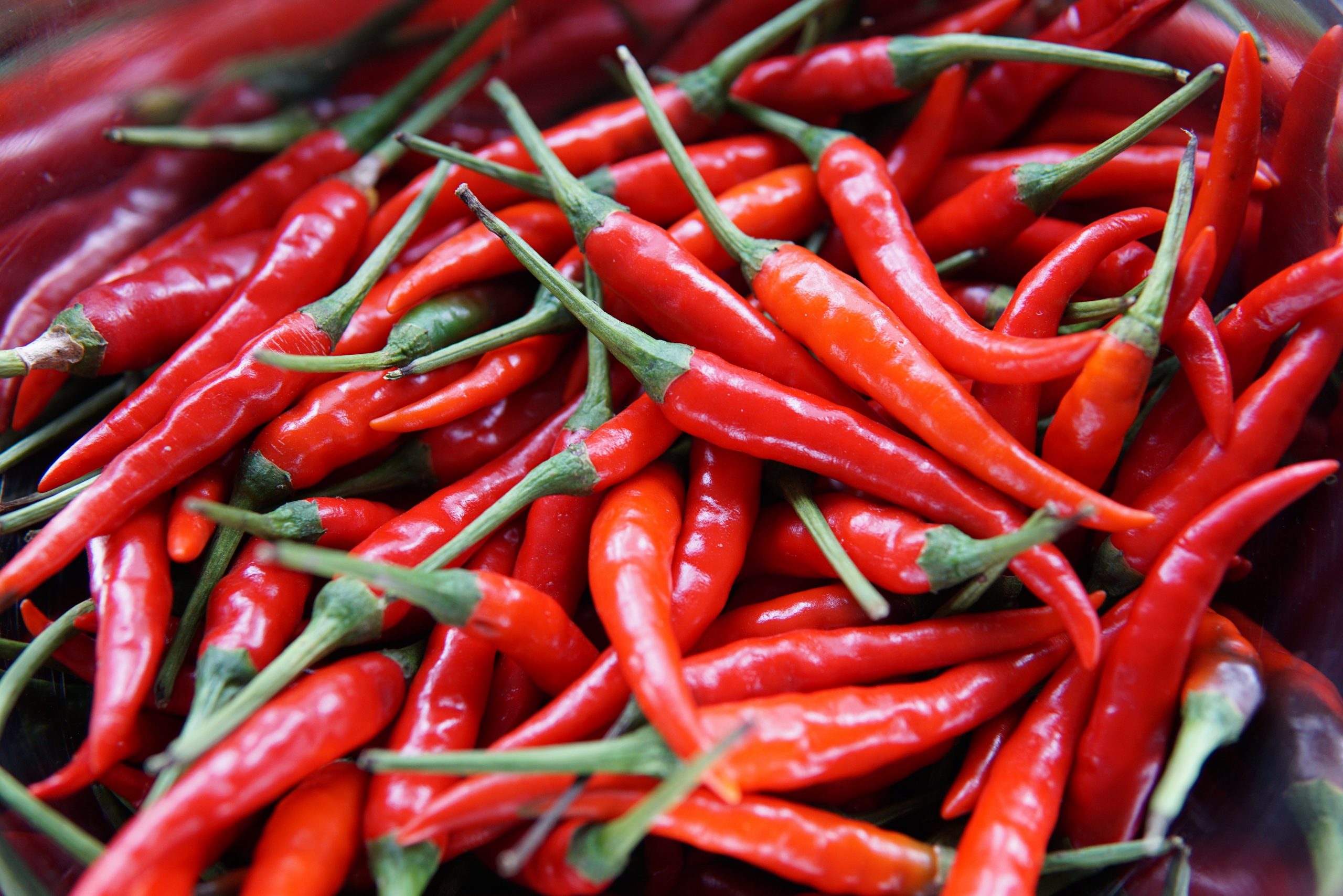 What Are The Different Types Of Hot Peppers?