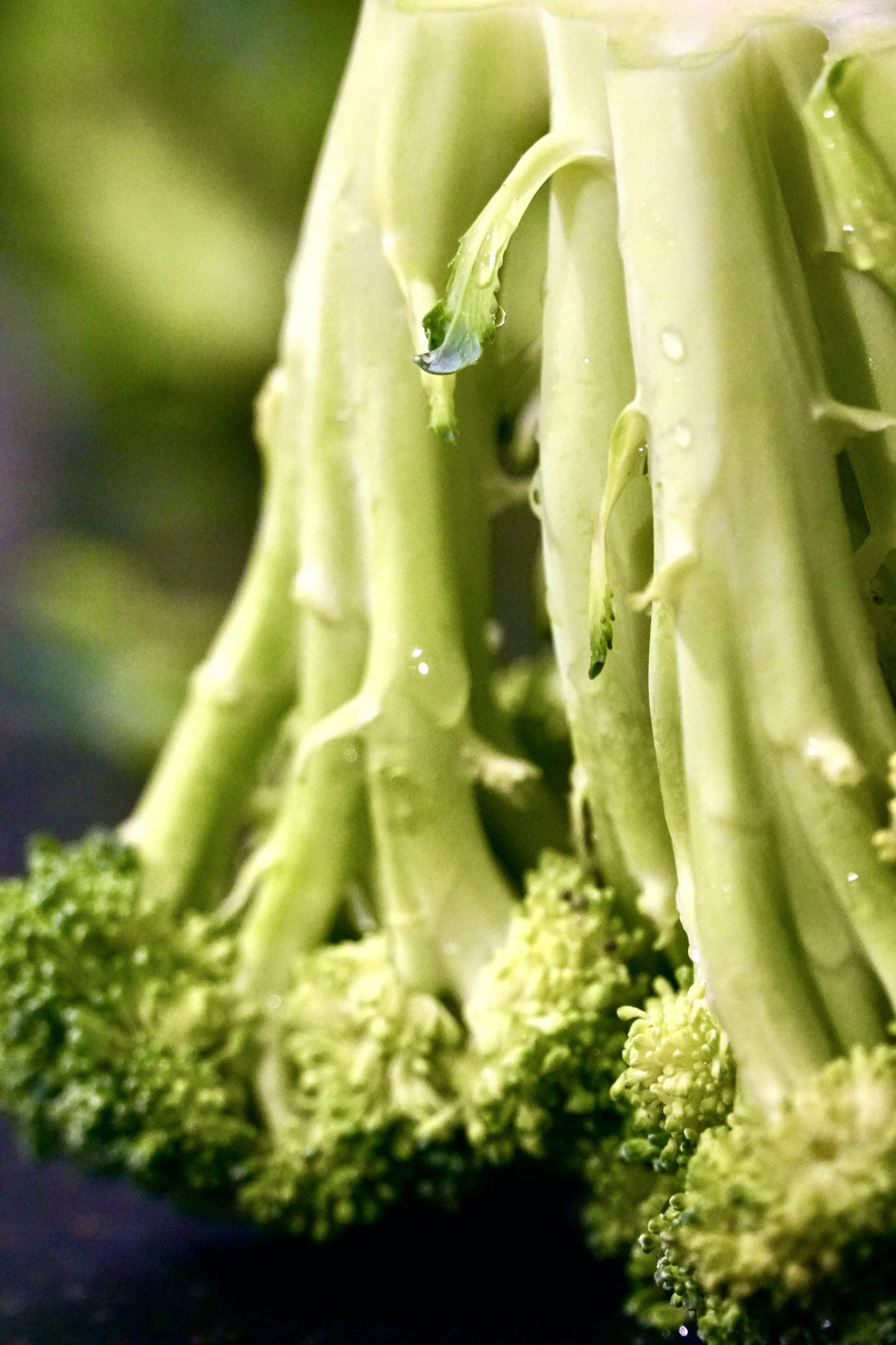 What are The Different Types of Broccoli?