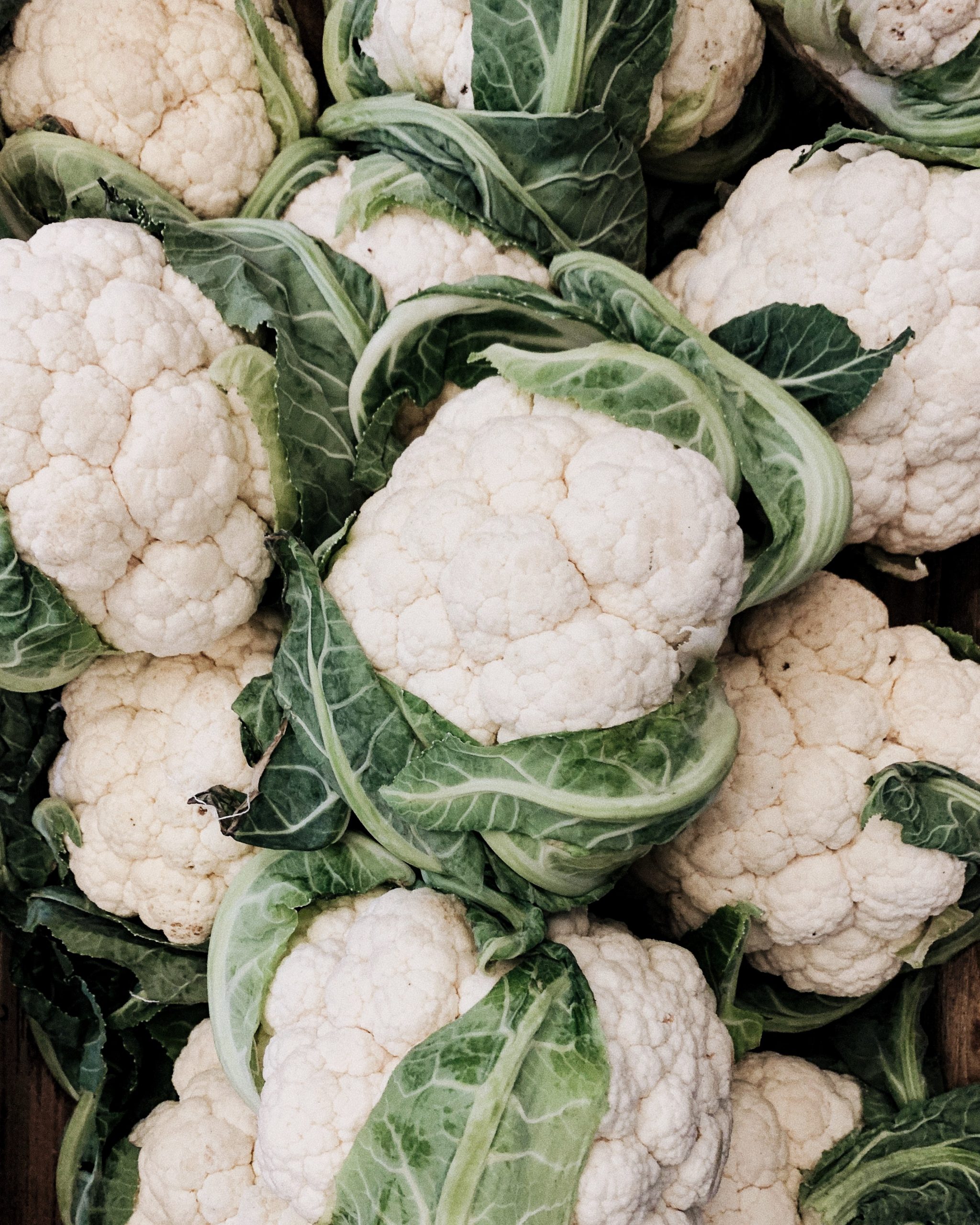 Can Cauliflower Grow In Summer?