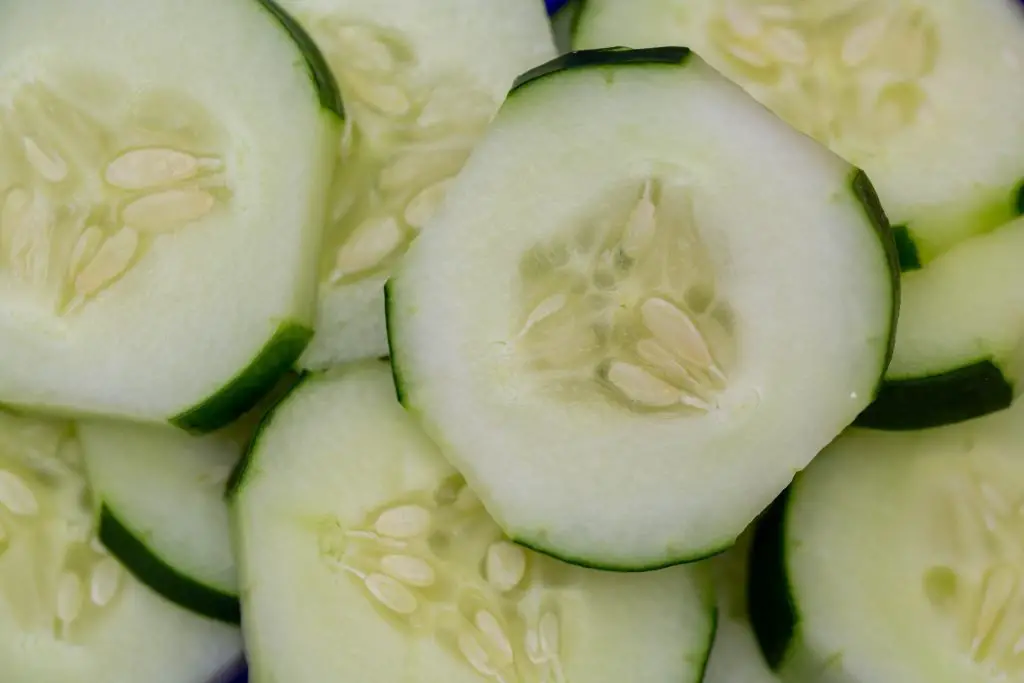 How Many Cucumbers Will A Plant Produce?