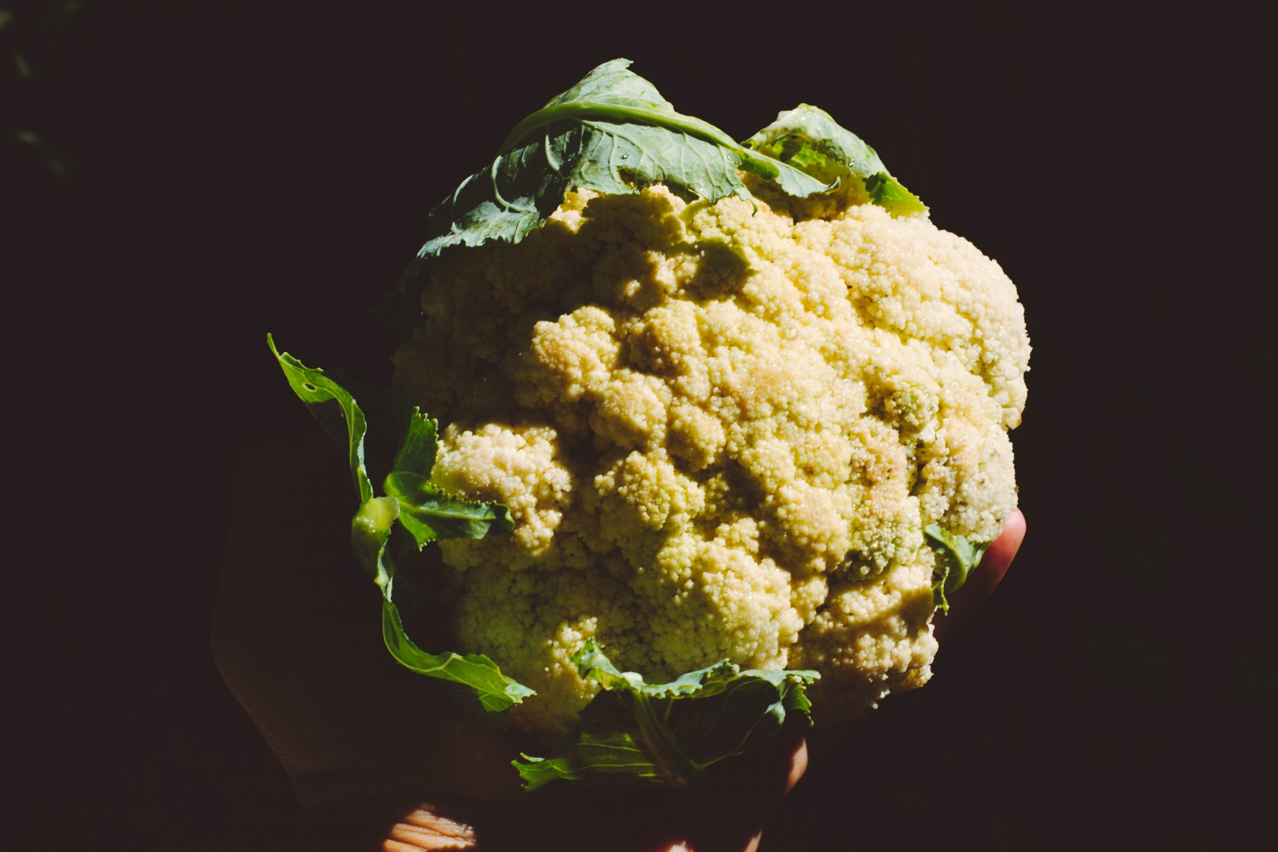 Why is My Cauliflower Yellow? And What Can I Do To Fix It?