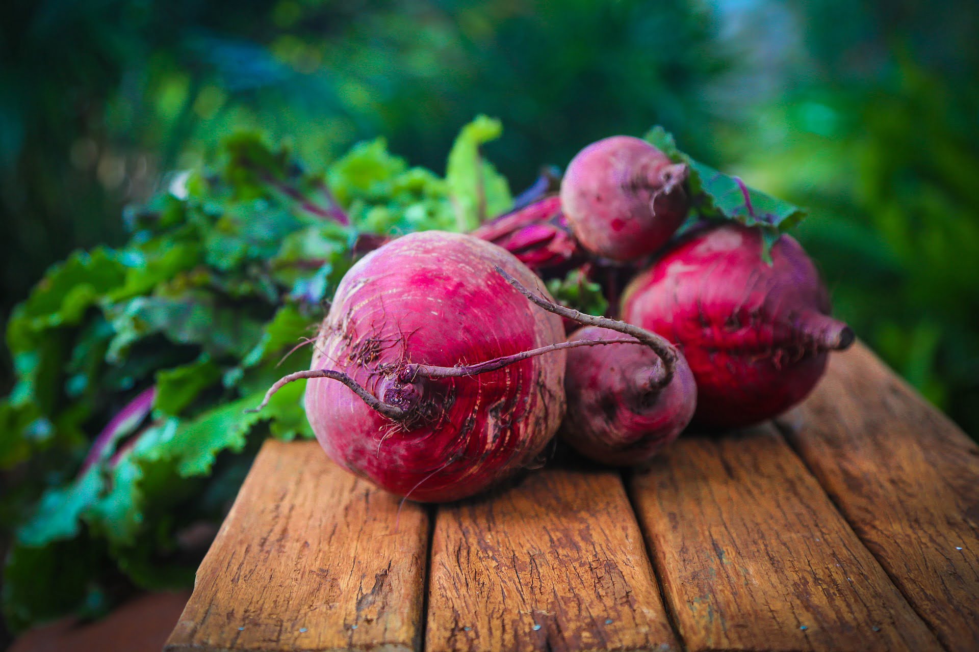 Can You Grow Beetroot All Year Round?