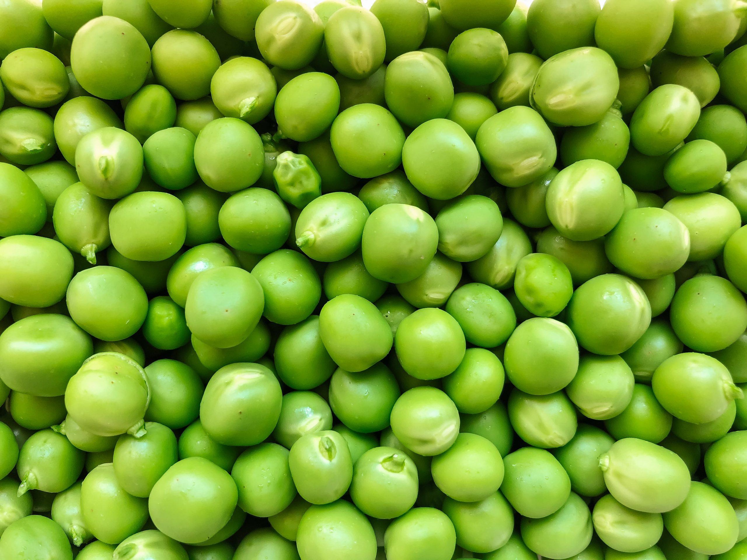 How Many Peas Will One Plant Produce?