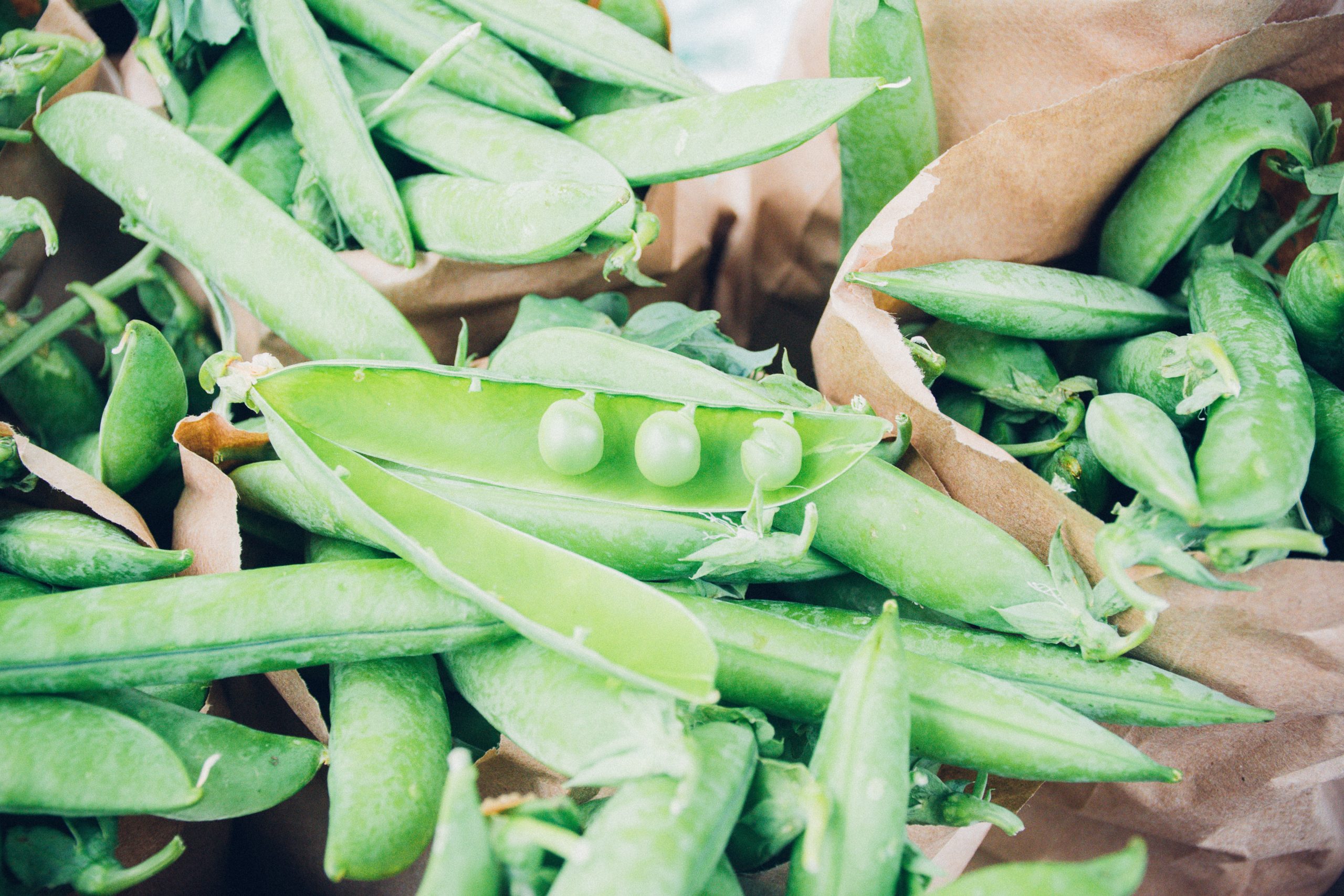 Can You Plant Peas From The Grocery Store?