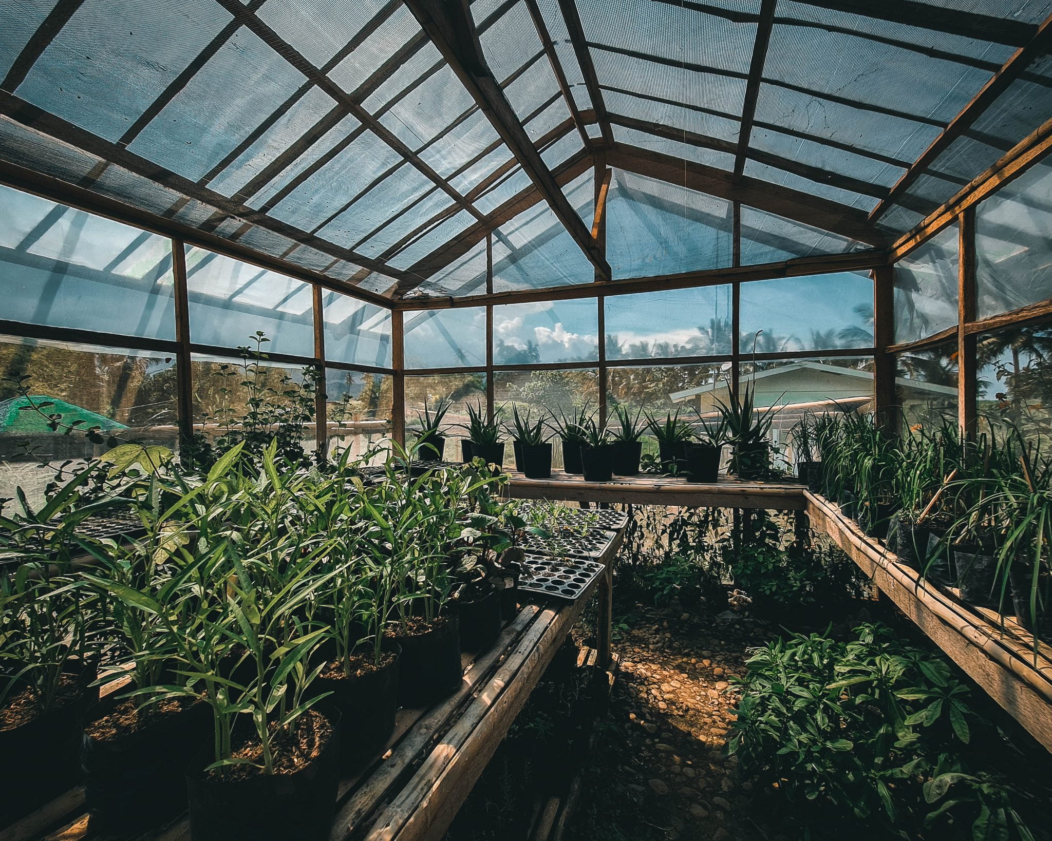 » How Much Warmer Is An Unheated Greenhouse?