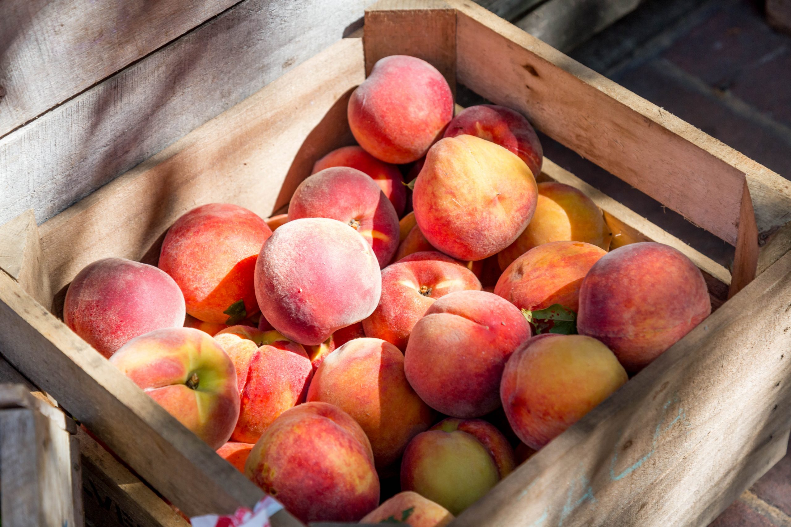 How Many Peaches Does A Tree Produce?