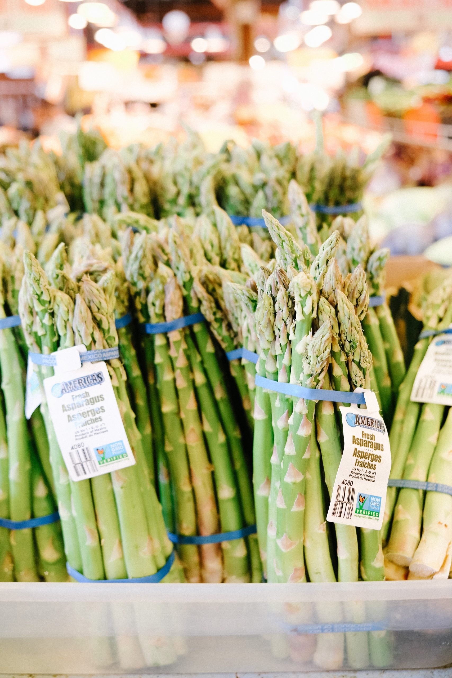 How Big Do Plants Asparagus Get?