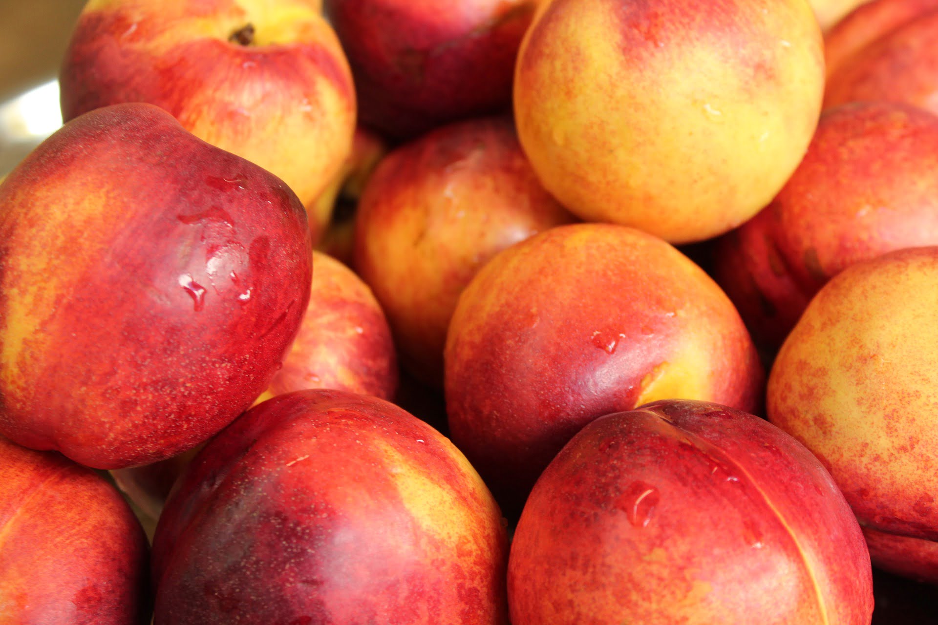 » How Many Nectarines Does A Tree Produce?
