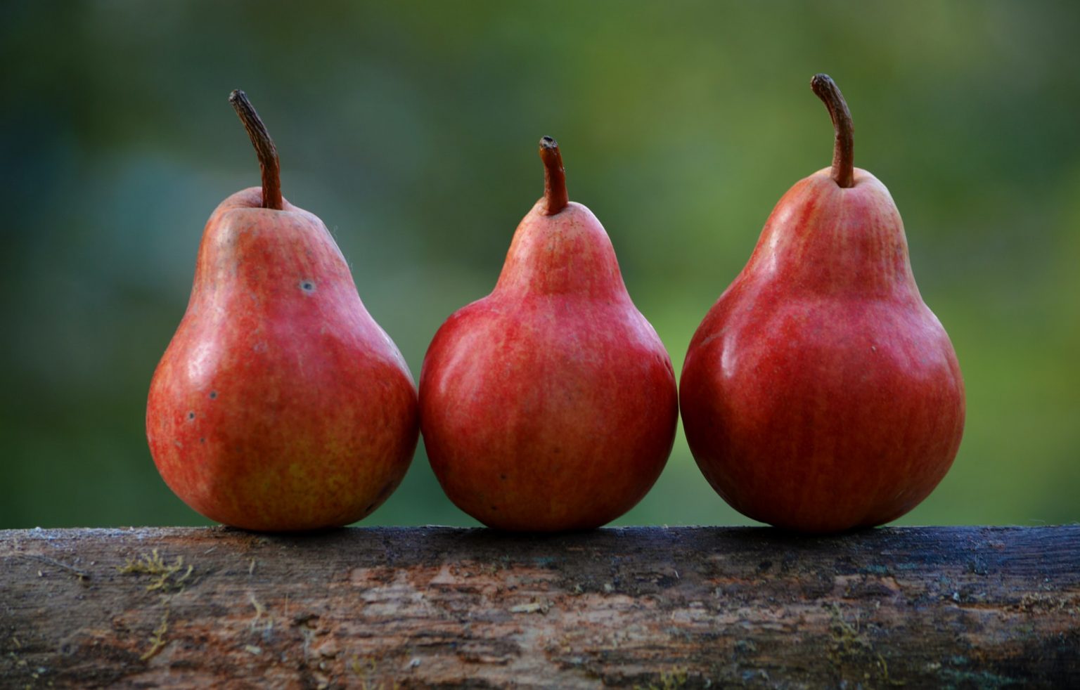 » How Many Pears Does A Tree Produce?