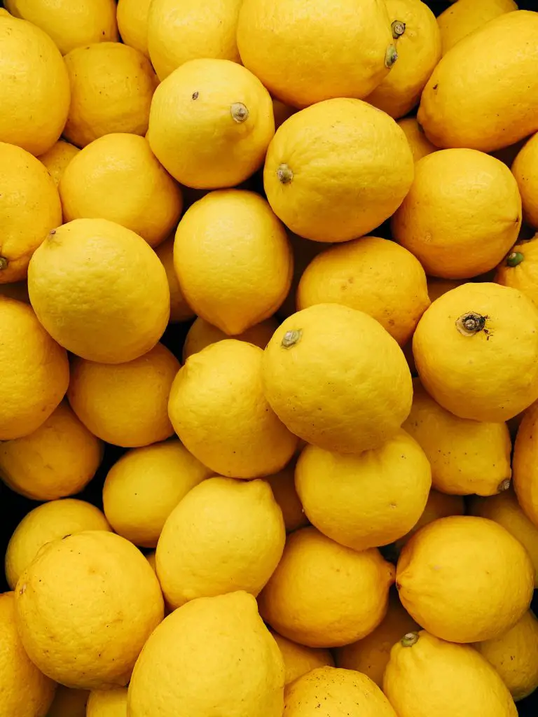 How Much Fruit Does A Lemon Tree Produce?