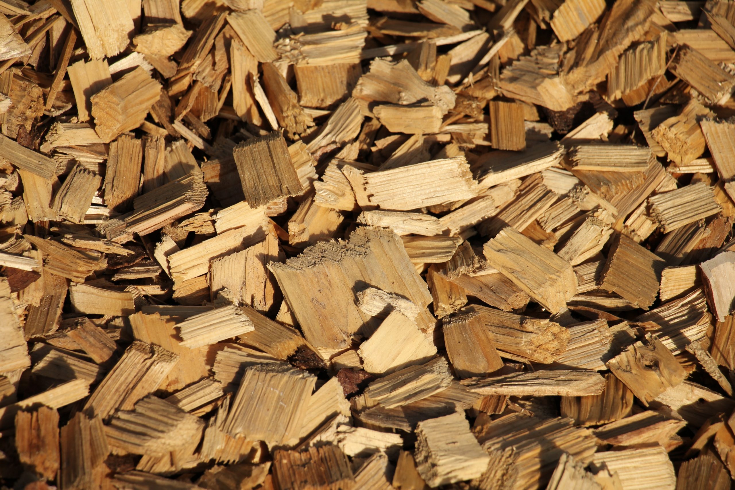 What To Do With Wood Chips From Chipper? (Here are 10 Ways To Use Them)