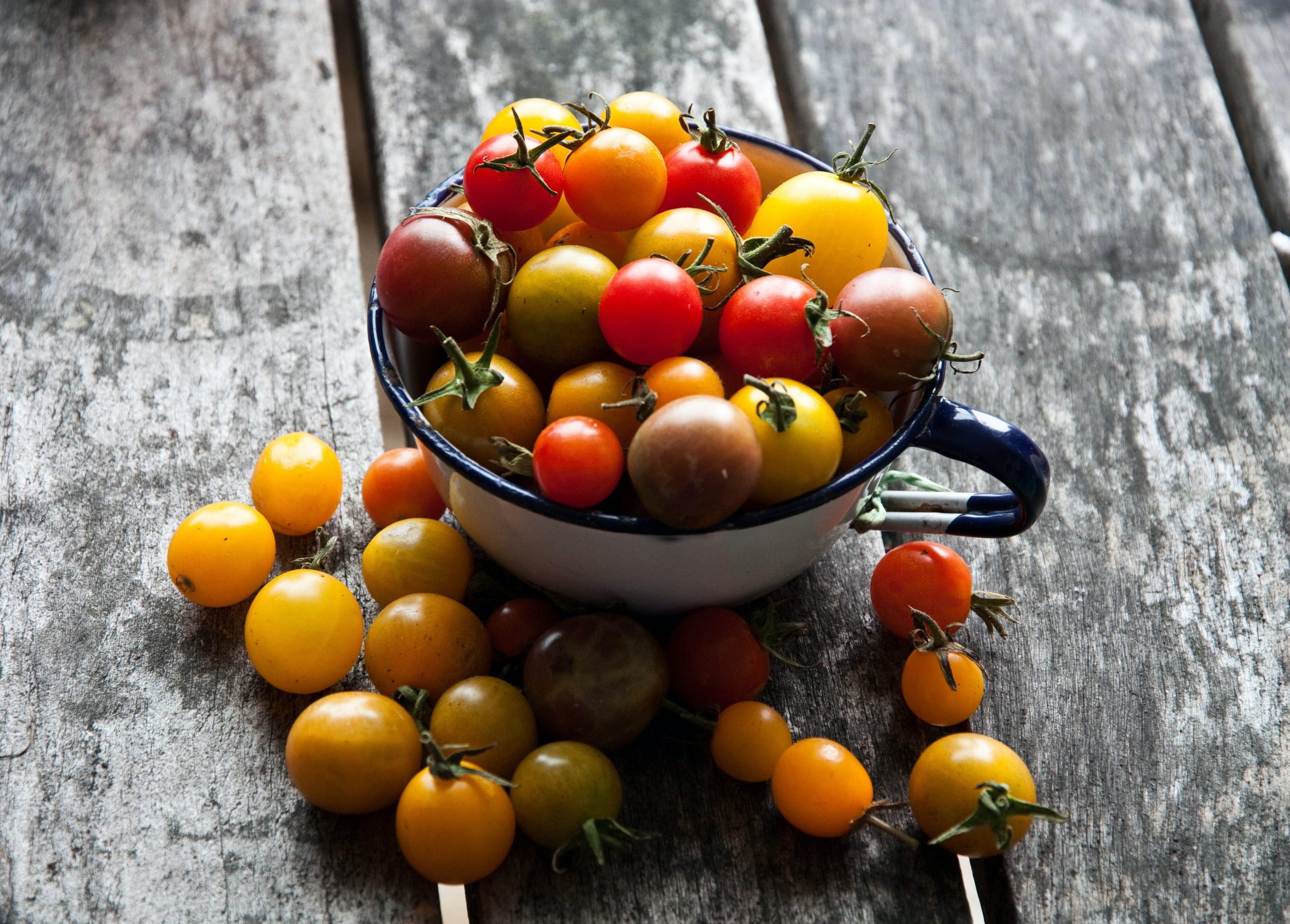 Why Do Cherry Tomatoes Taste Better Than Regular Tomatoes?