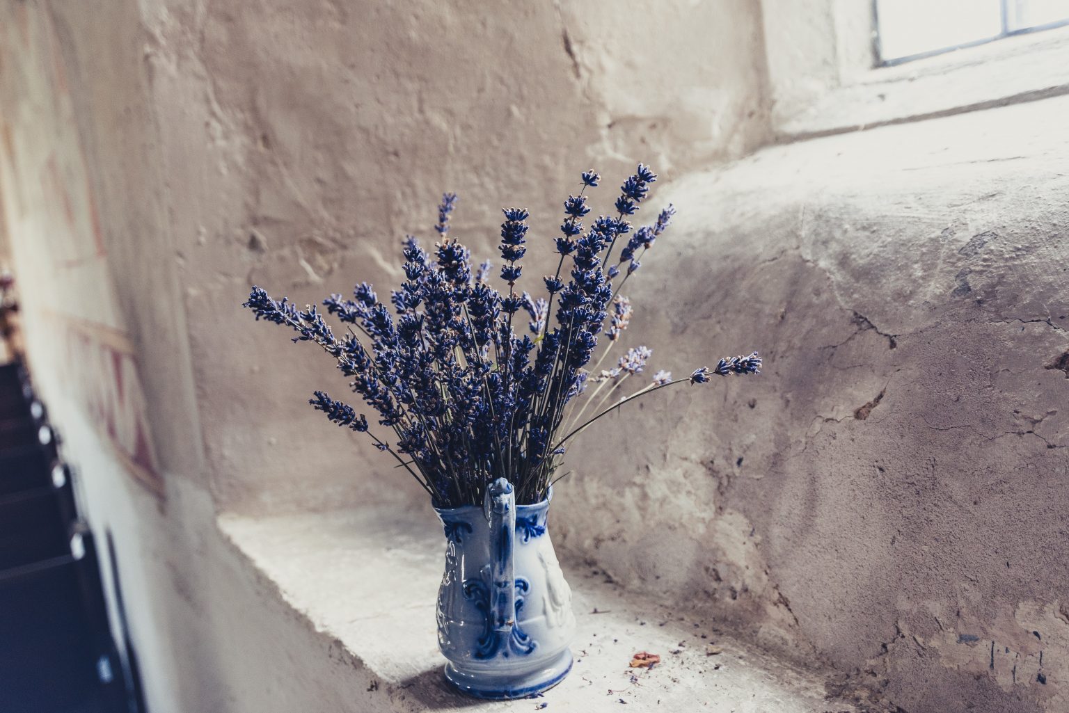 » Can You Propagate Lavender In Water? (Here’s How To Do It)