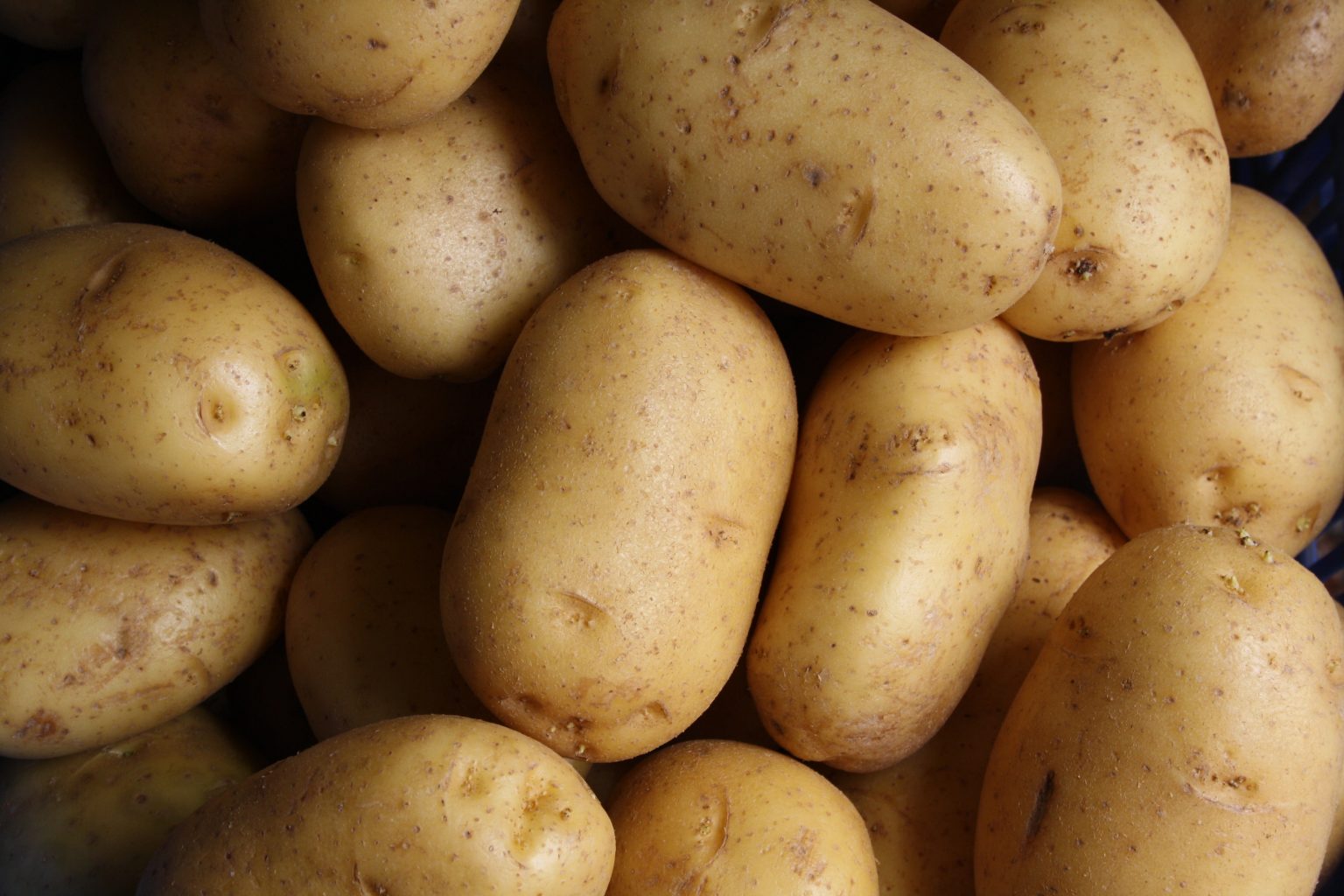 » How Late Can You Plant Potatoes? (And How To Maximize The Yield)