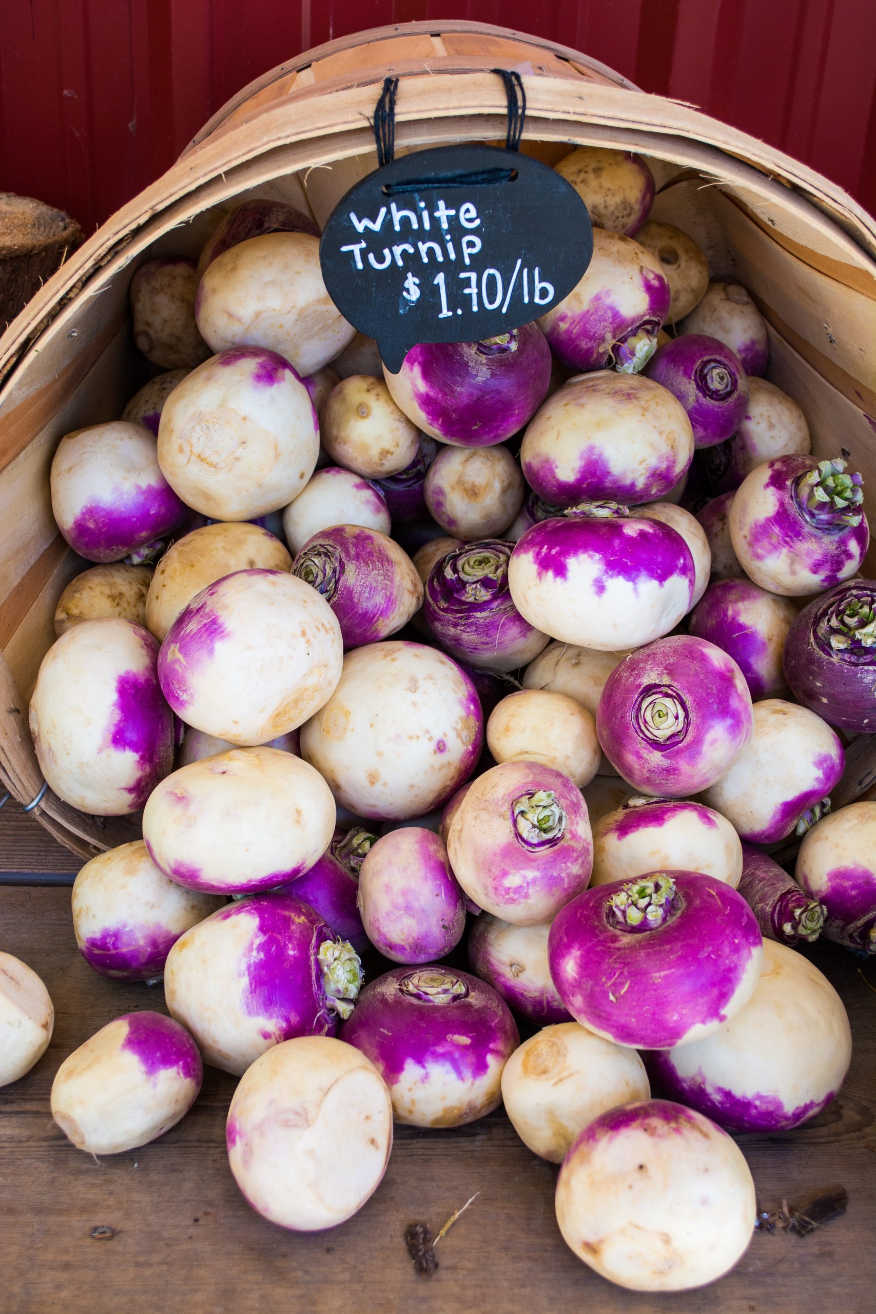 Are Radishes and Turnips The Same? (The Differences And Similarities)