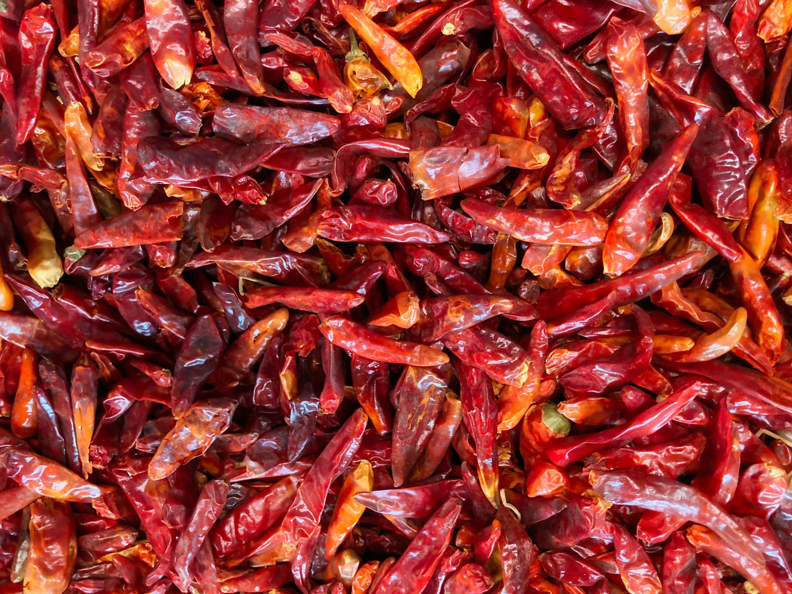 Are Dried Peppers Hotter Than Fresh Ones?