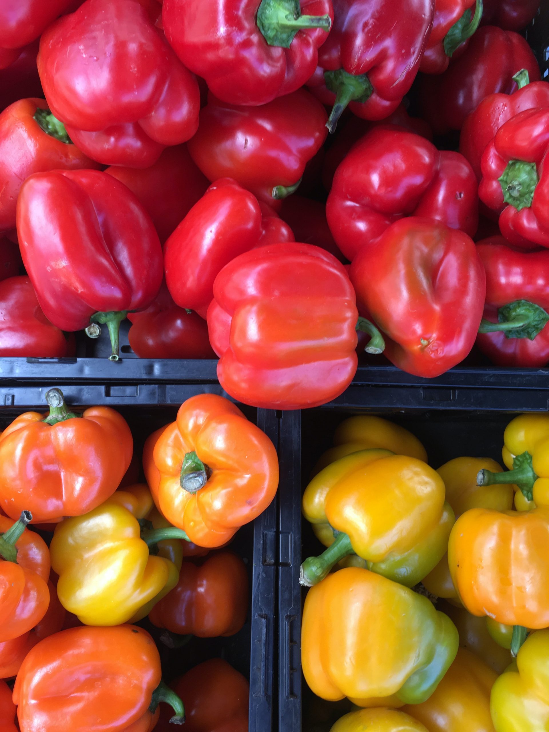 » Capsicum vs Bell Pepper Are They The Same Thing?