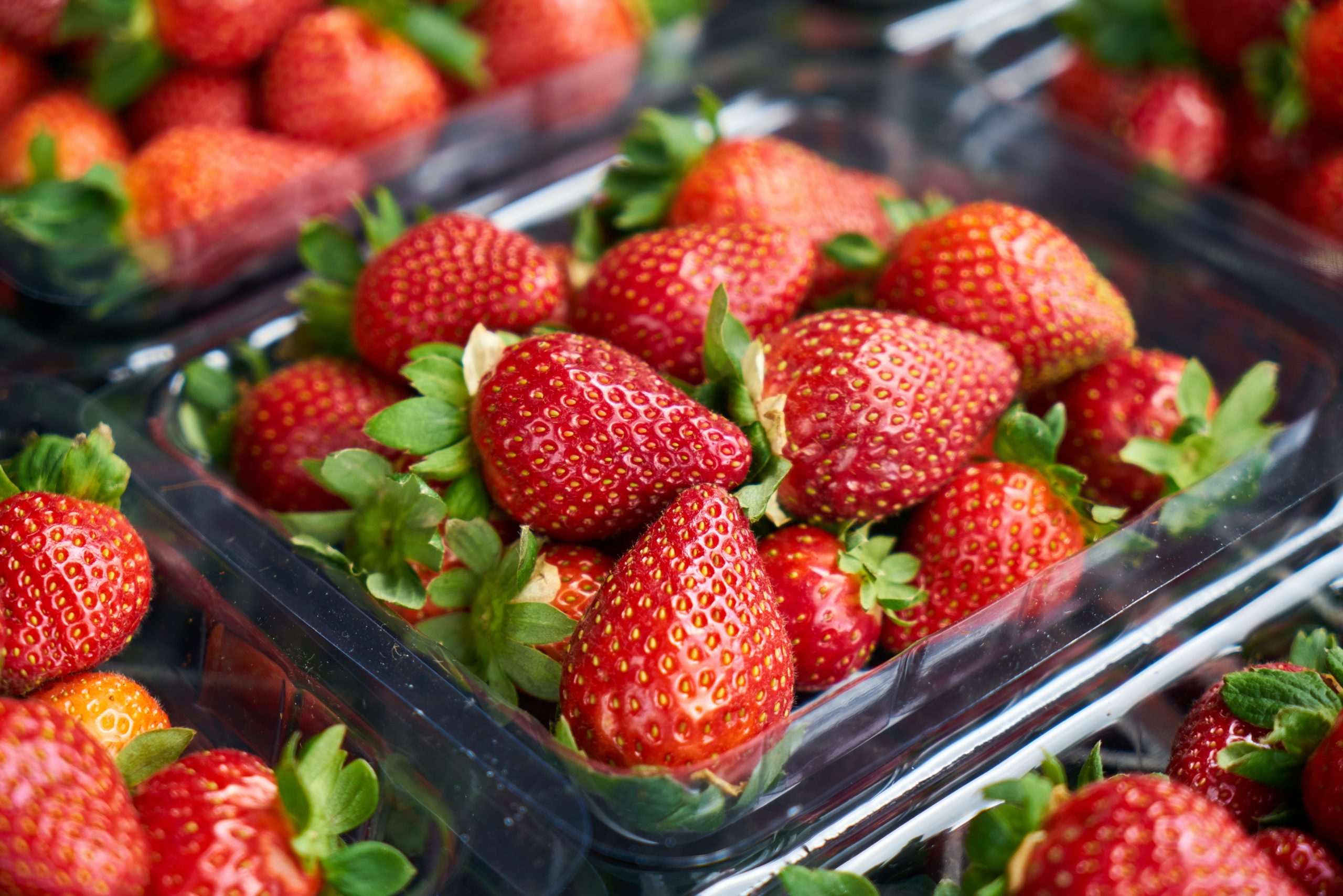 Can You Plant Seeds From Store Bought Strawberries?