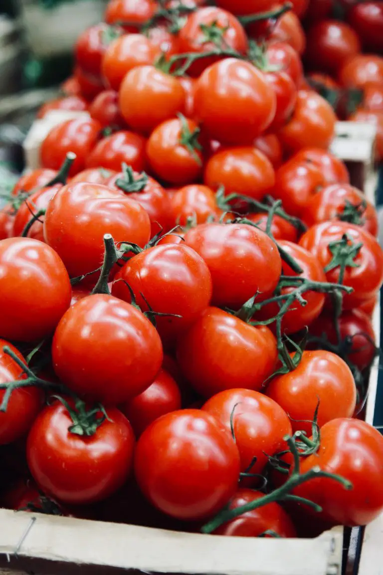 can-you-plant-seeds-from-a-store-bought-tomato-is-it-possible