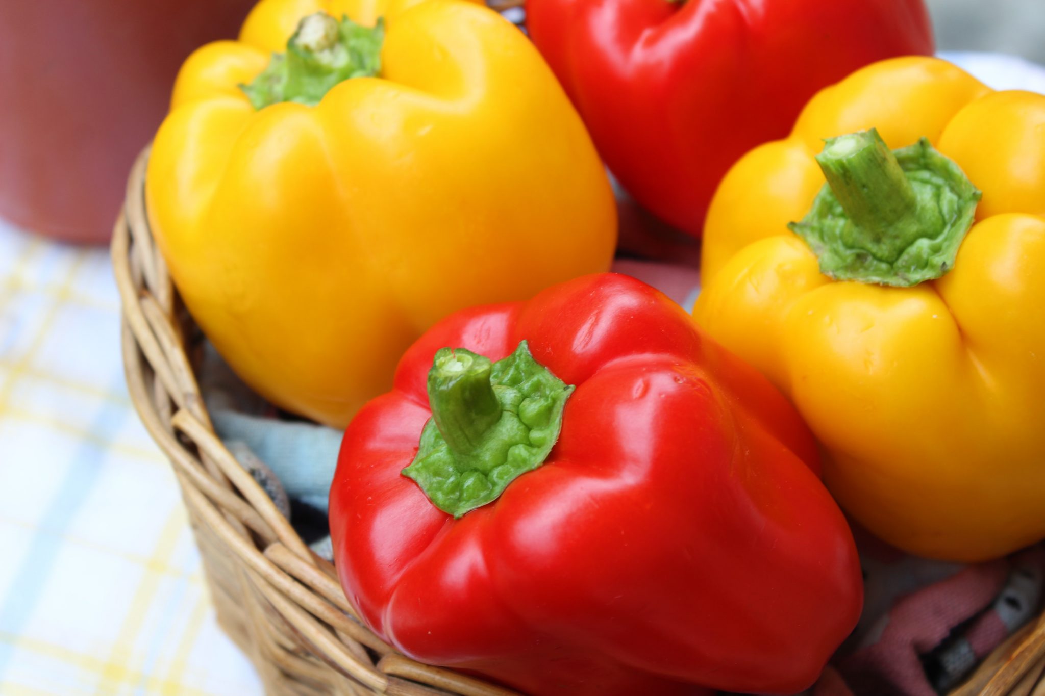 » Capsicum vs Bell Pepper Are They The Same Thing?