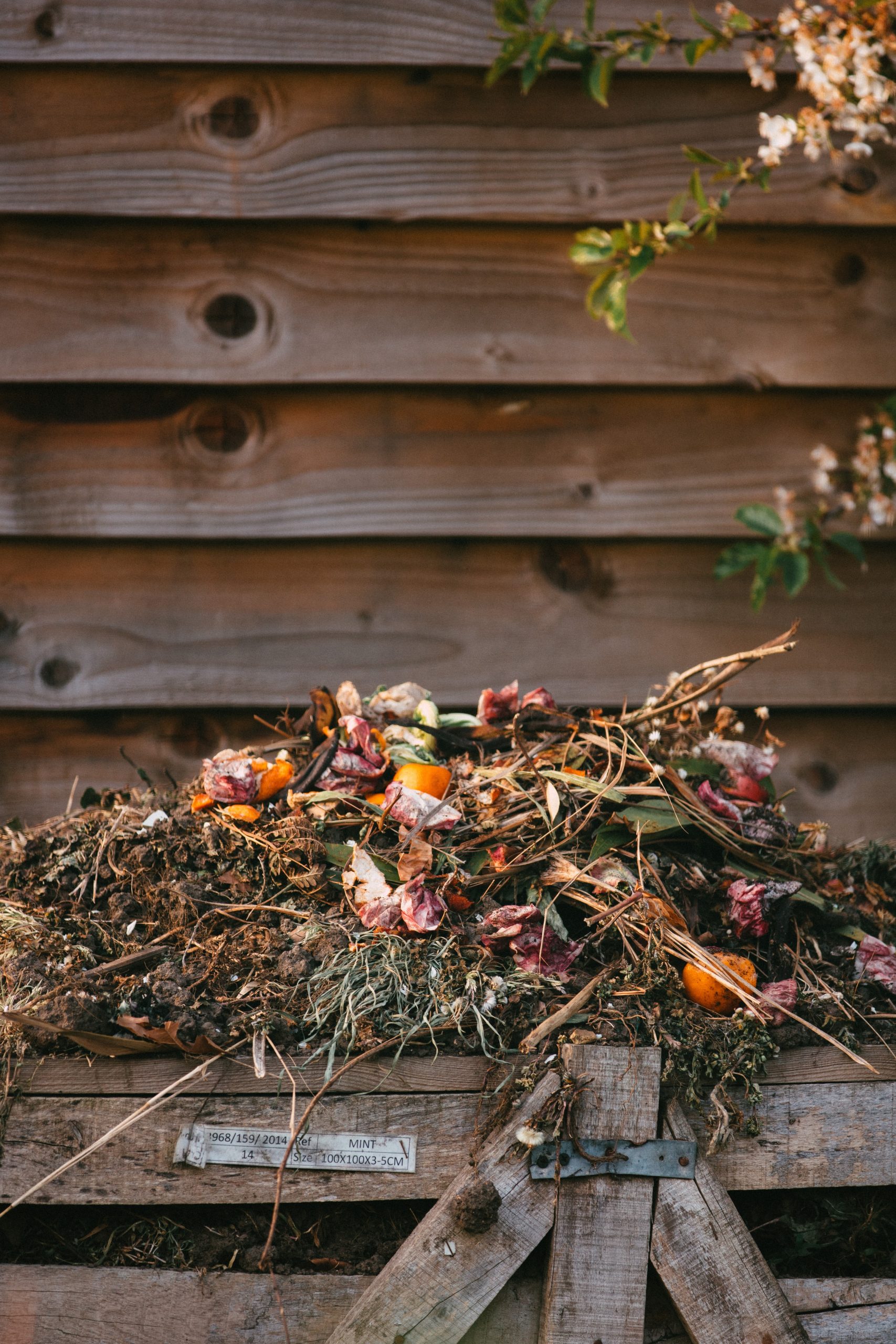 Can You Compost Toxic Plants?