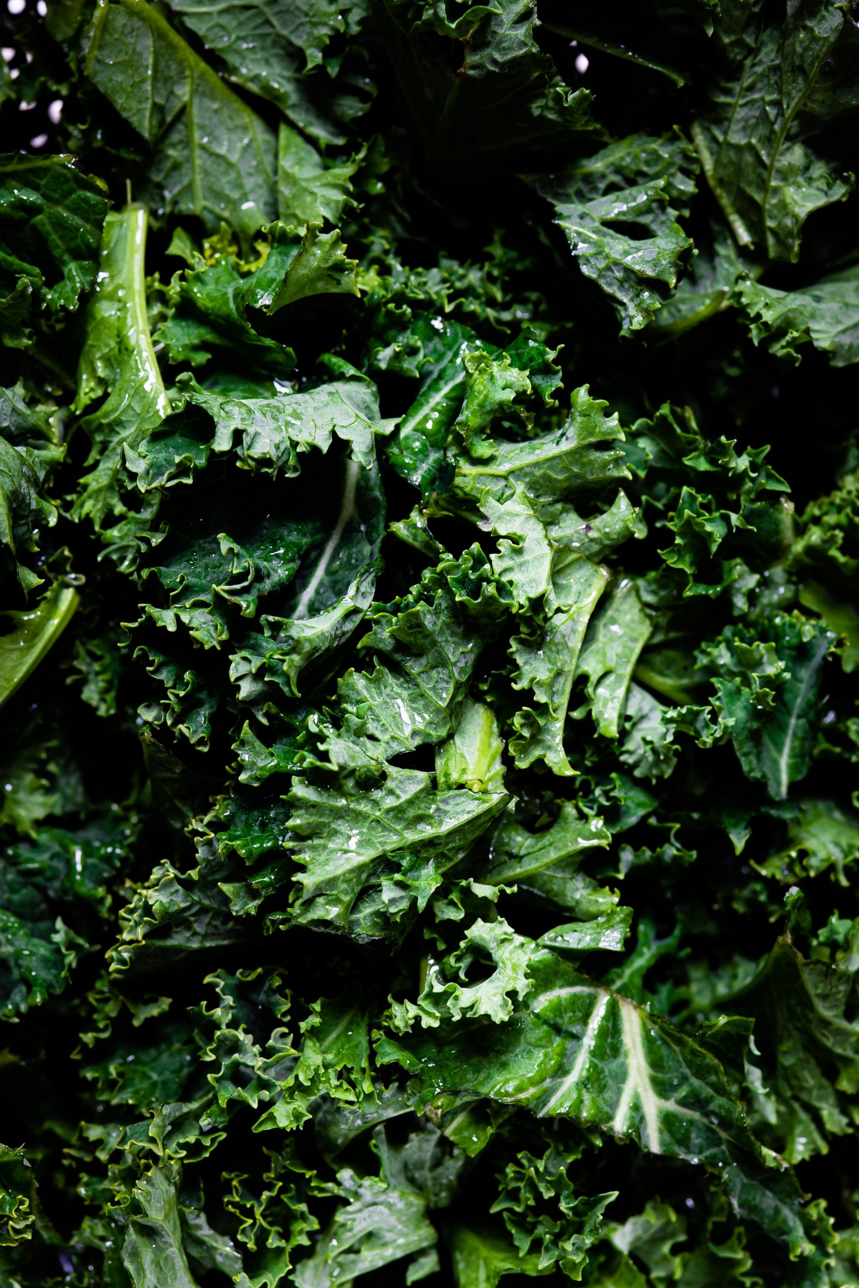Is Kale Lettuce? Is There A Difference?