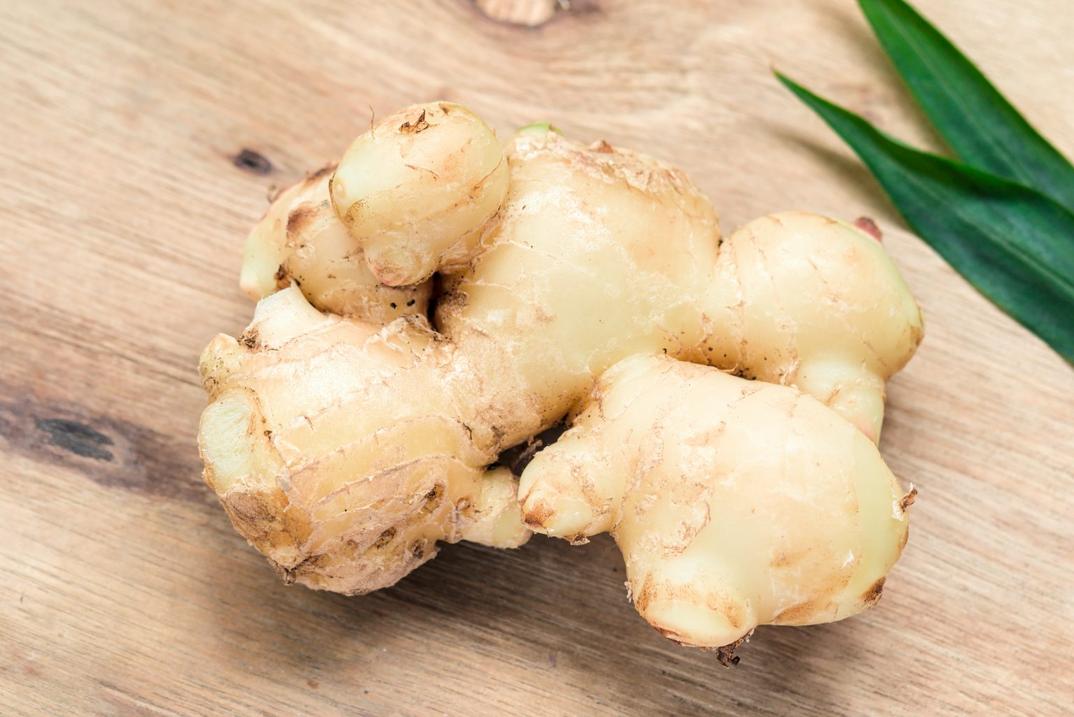 » What Is Ginger A Root Or Stem?