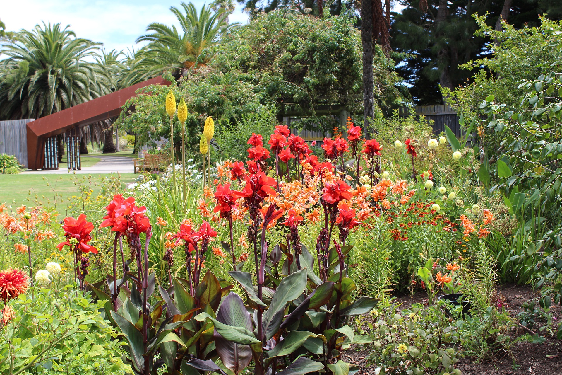 » Is Canna Lily Deer Resistant? And How Can You Protect Them?