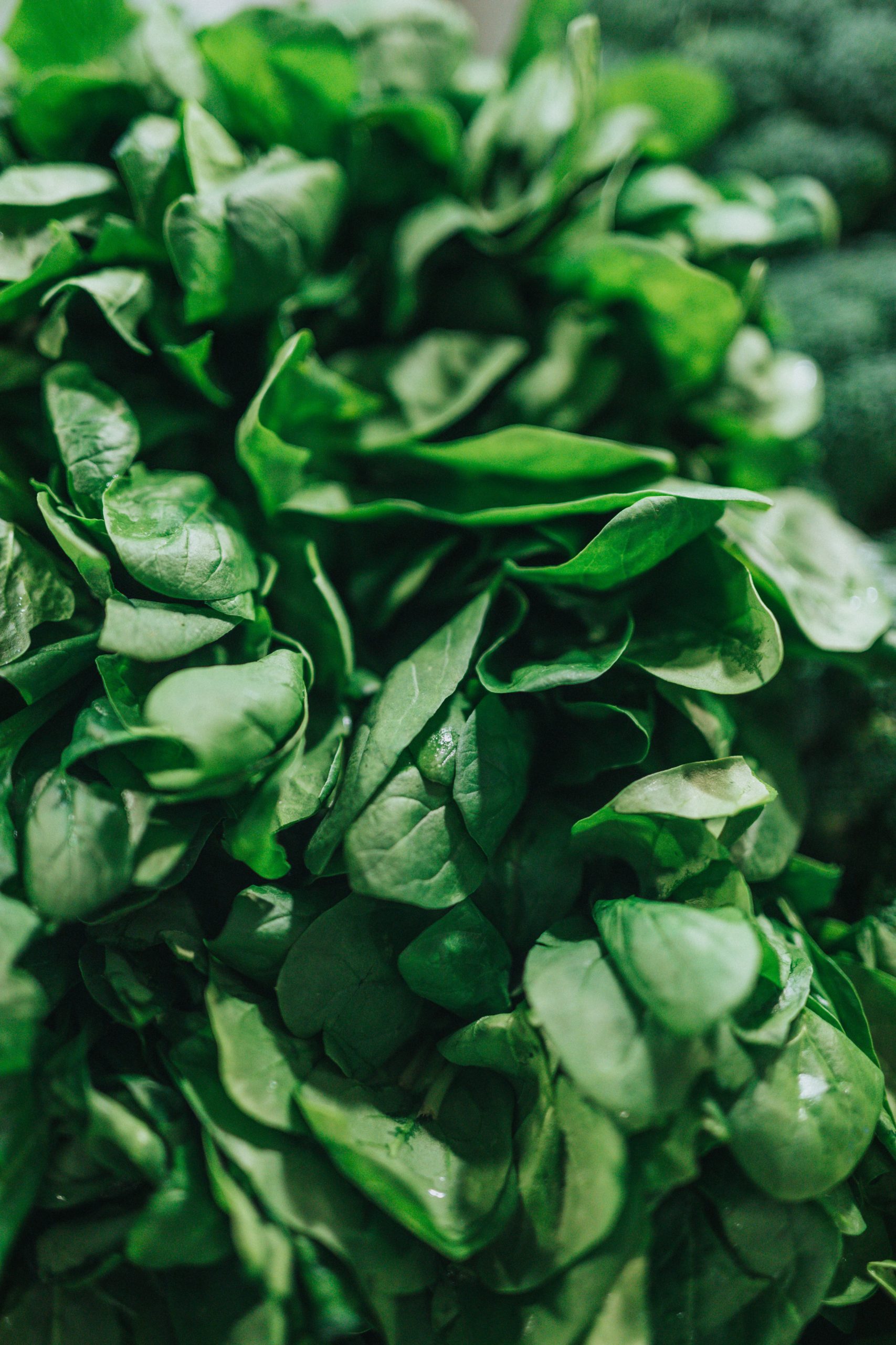 Are Arugula And Spinach The Same Thing? What Is The Difference?