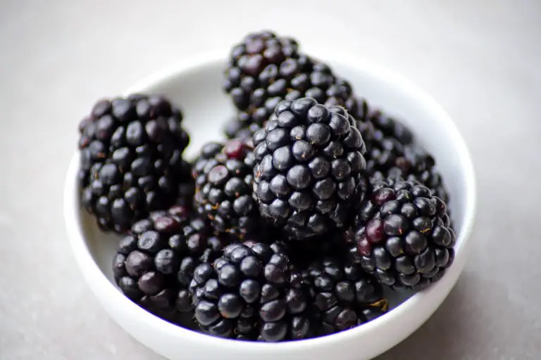 » Blueberry vs Blackberry: What Are The Differences?