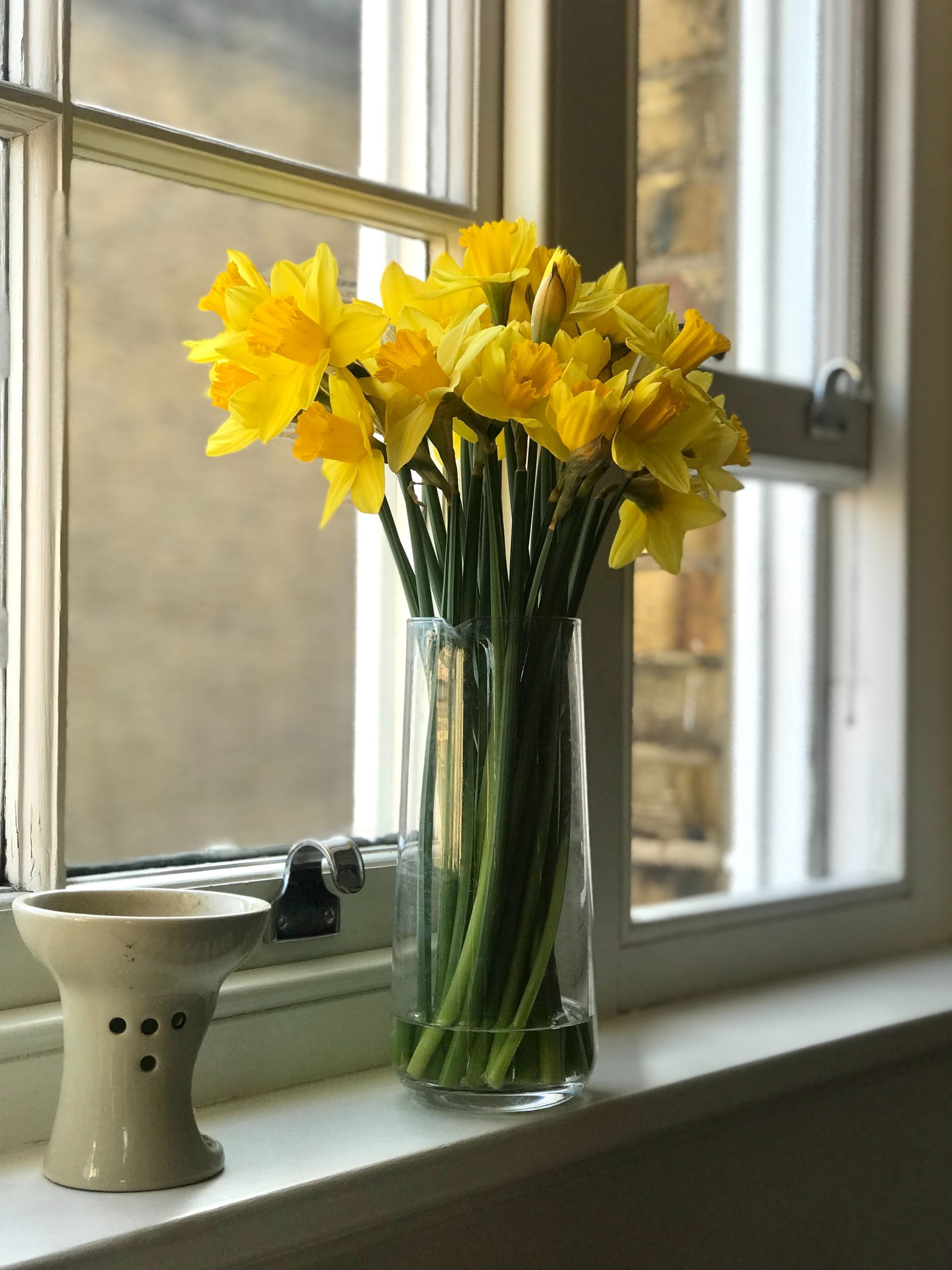 » How To Tell When Daffodils Are Ready To Harvest?