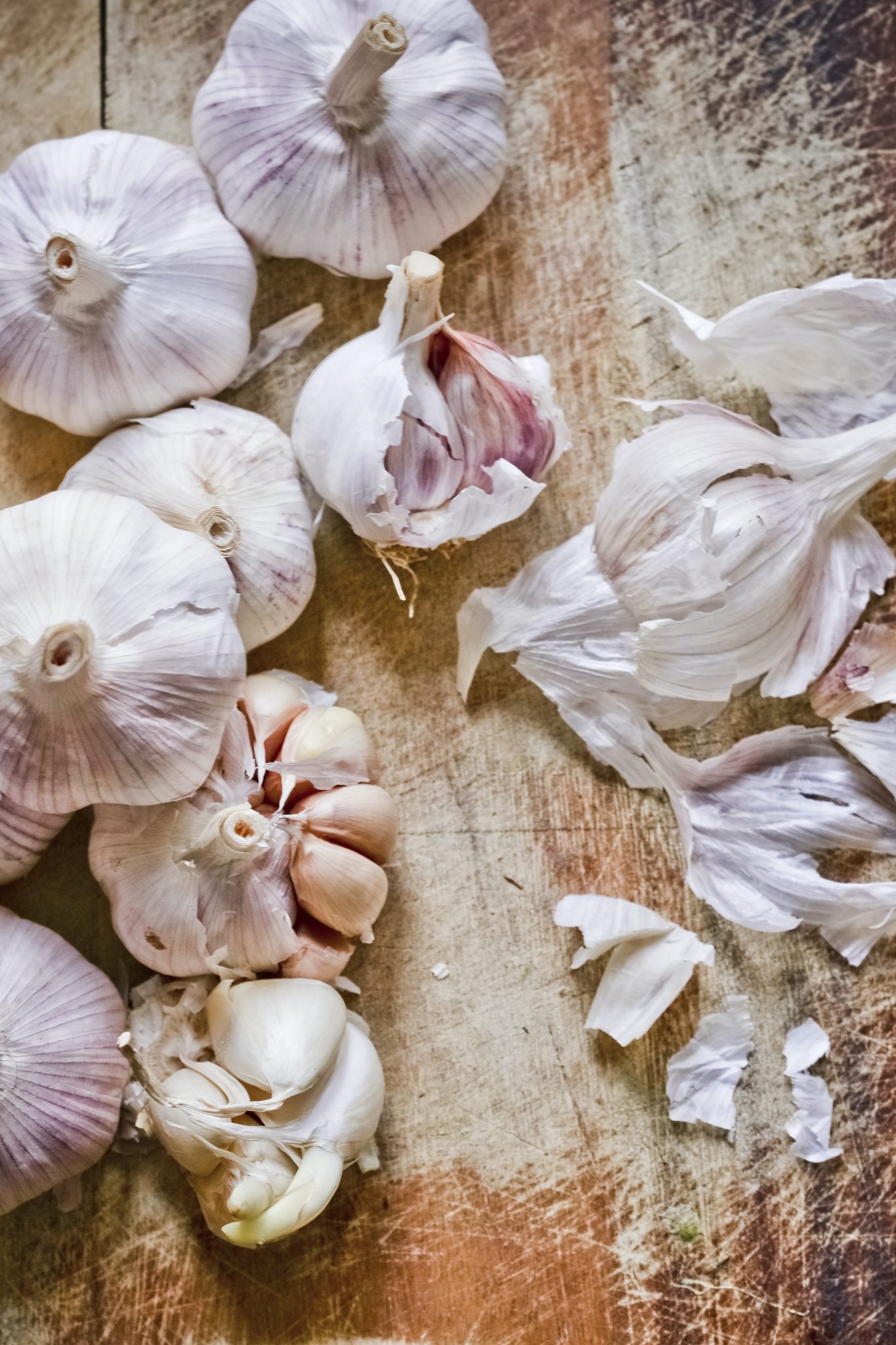 » Does Garlic Grow Underground?