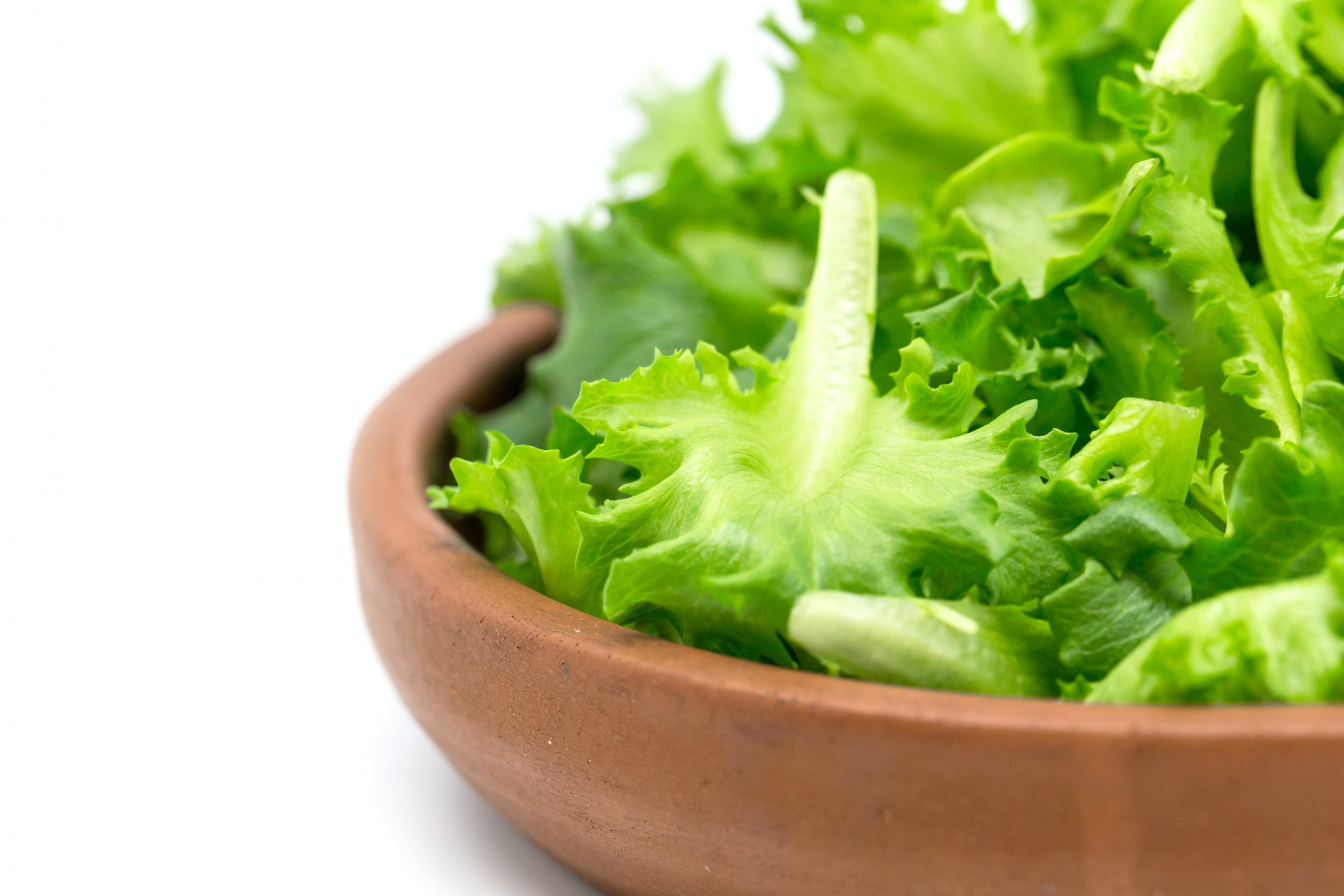 Does Lettuce Grow Underground?