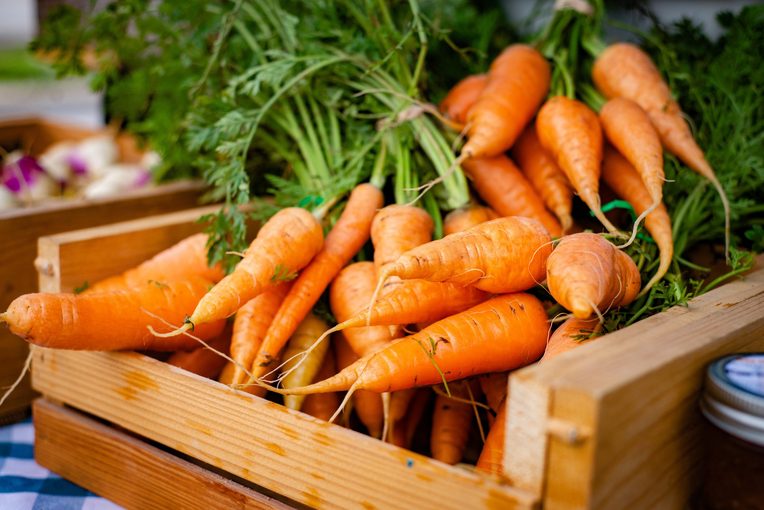 How Deep Do Carrots Grow? Does The Type Matter?