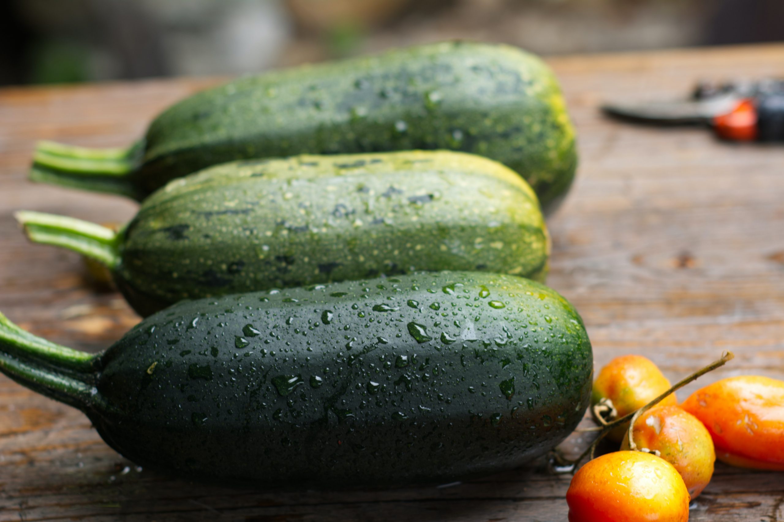 Is It Safe To Eat Zucchini With Powdery Mildew?
