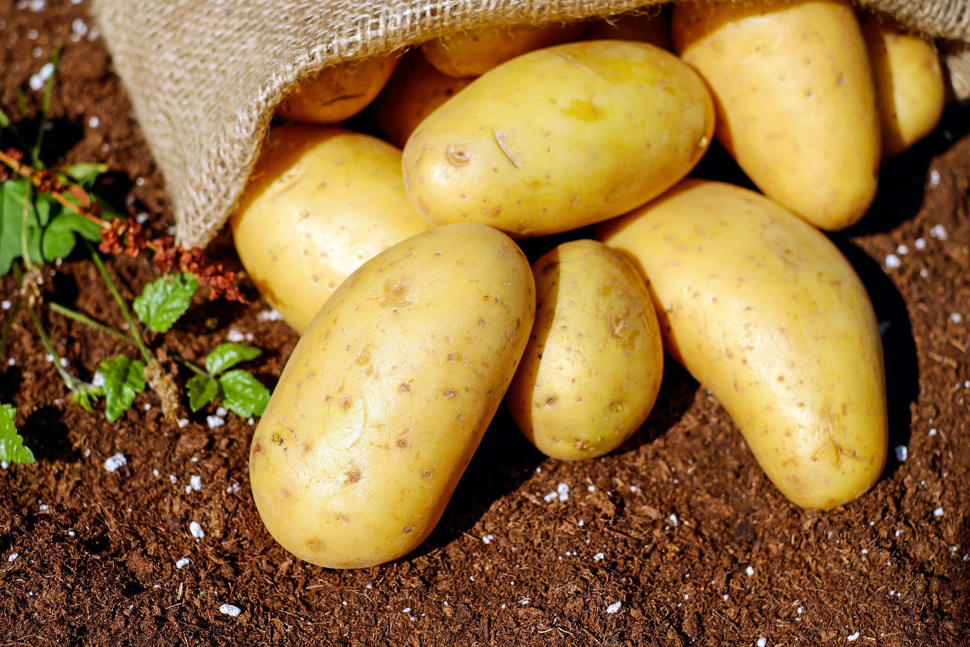 How Long To Leave Potatoes In Ice Bath